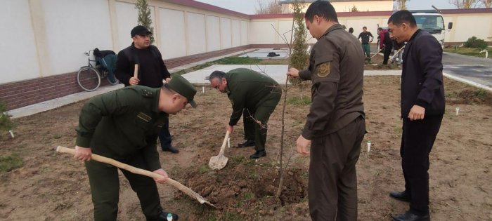 Зоминда прокуратура ходимлари кўчат экди